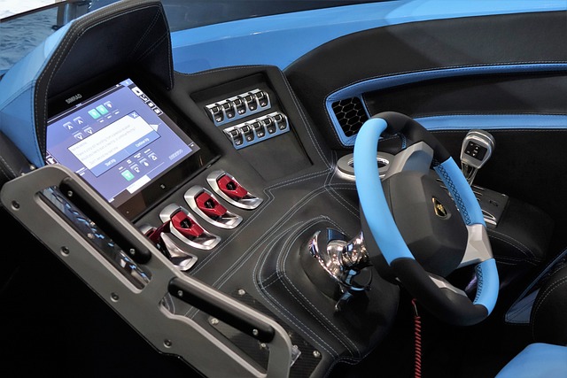 象群会议 象群会议