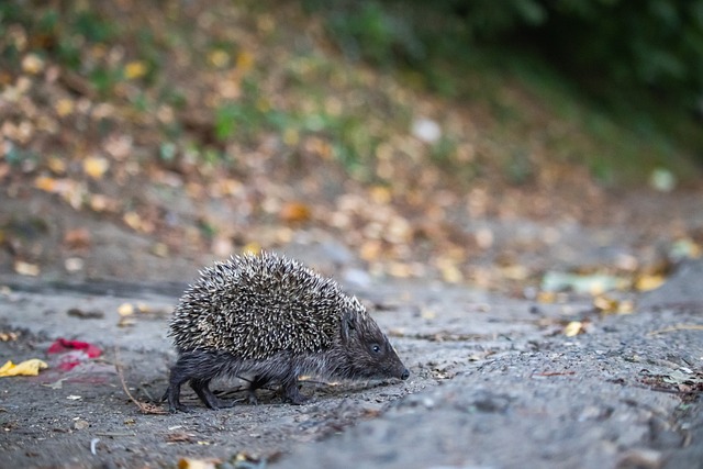 助于提升企 助于提升企