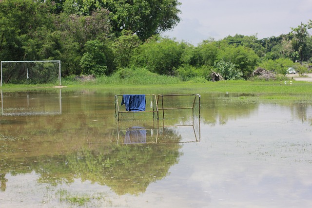 哈登在快船 哈登在快船