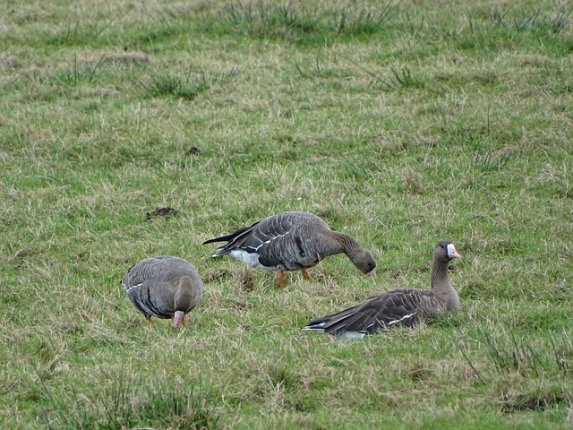 更多戏剧性 更多戏剧性