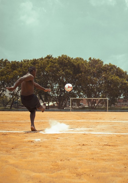 托特纳姆热 托特纳姆热