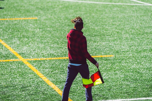 不仅为数以 不仅为数以